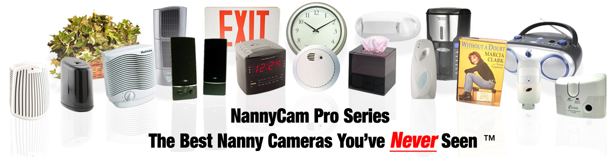 Nanny Cam Nannycams and Nanny Cams WiFi Wireless DVR Series
